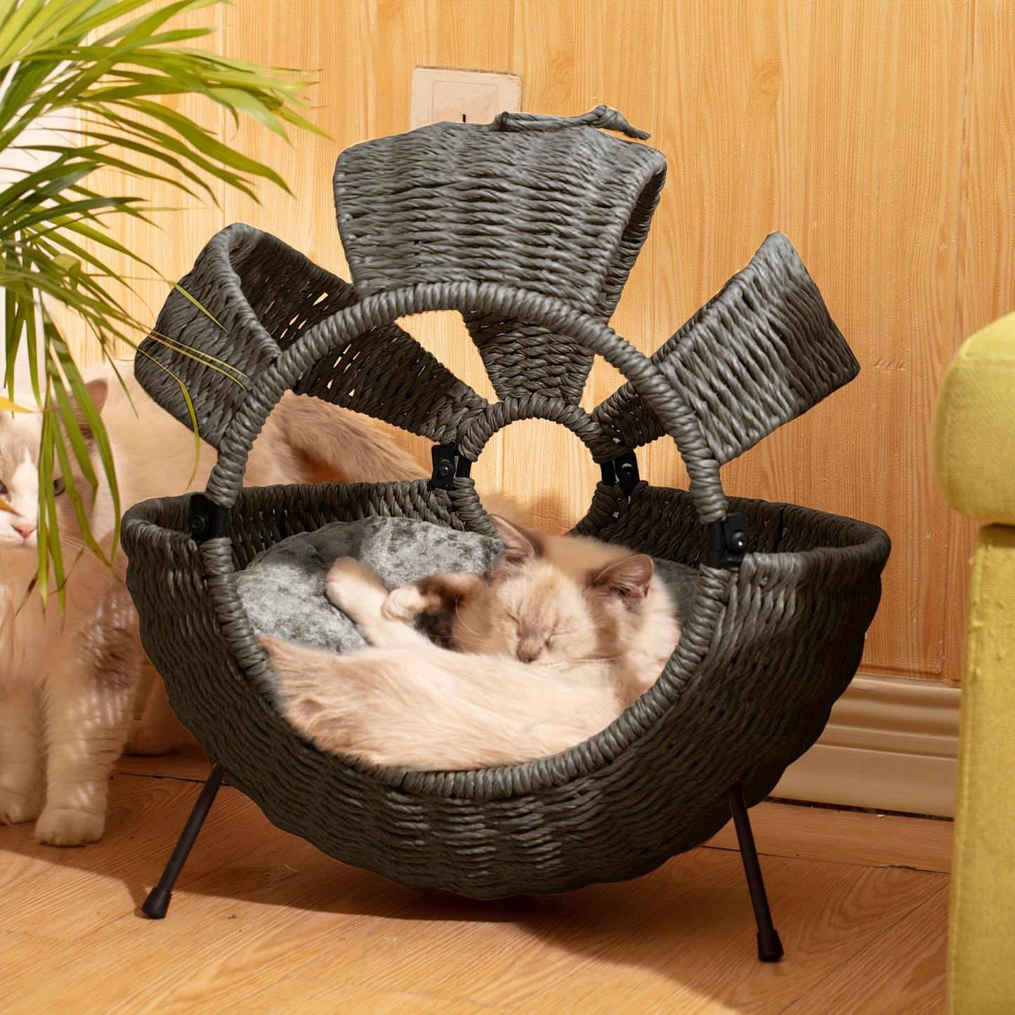Large Rattan Cat Bed With Cushion