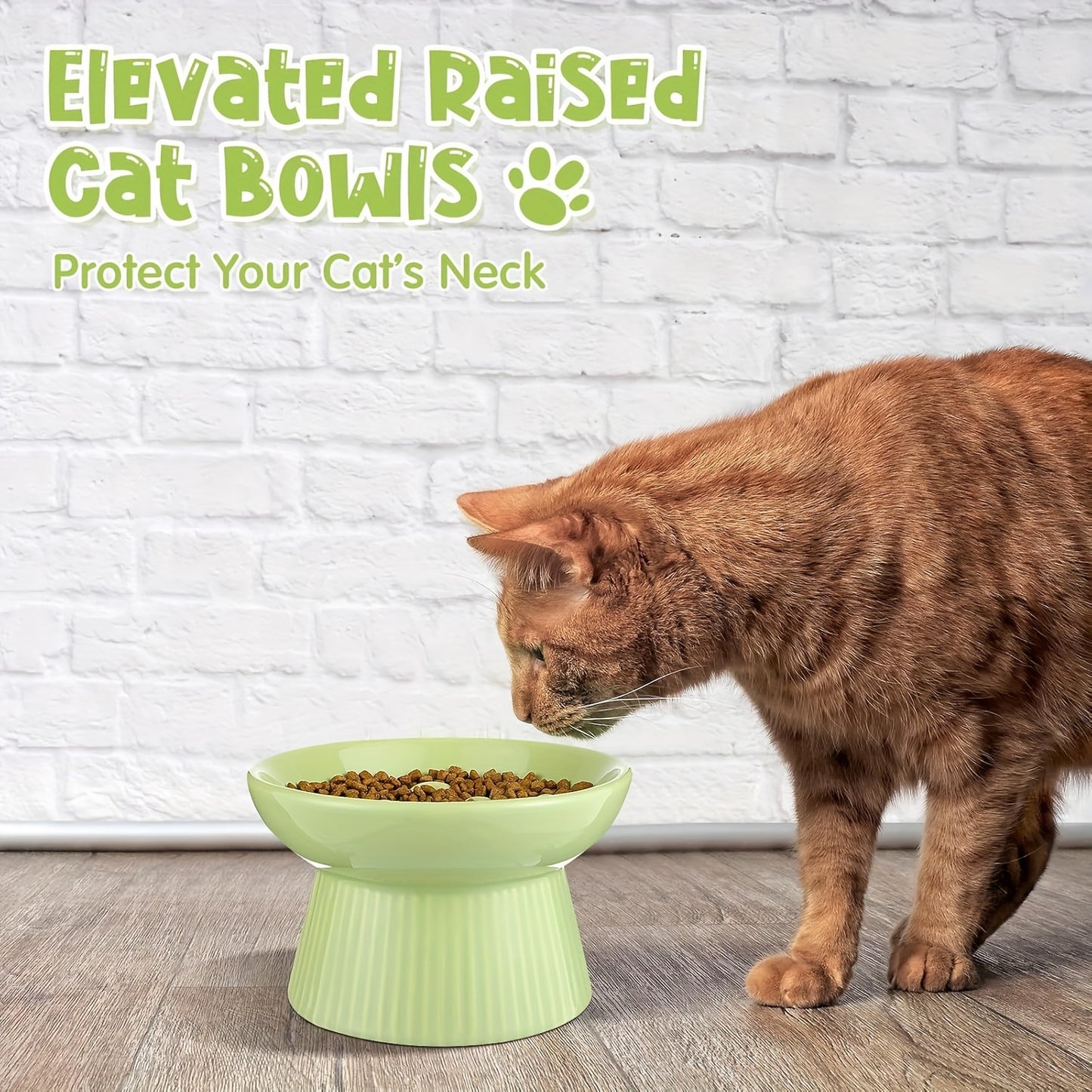 Ceramic Elevated Cat Bowls Set of Two