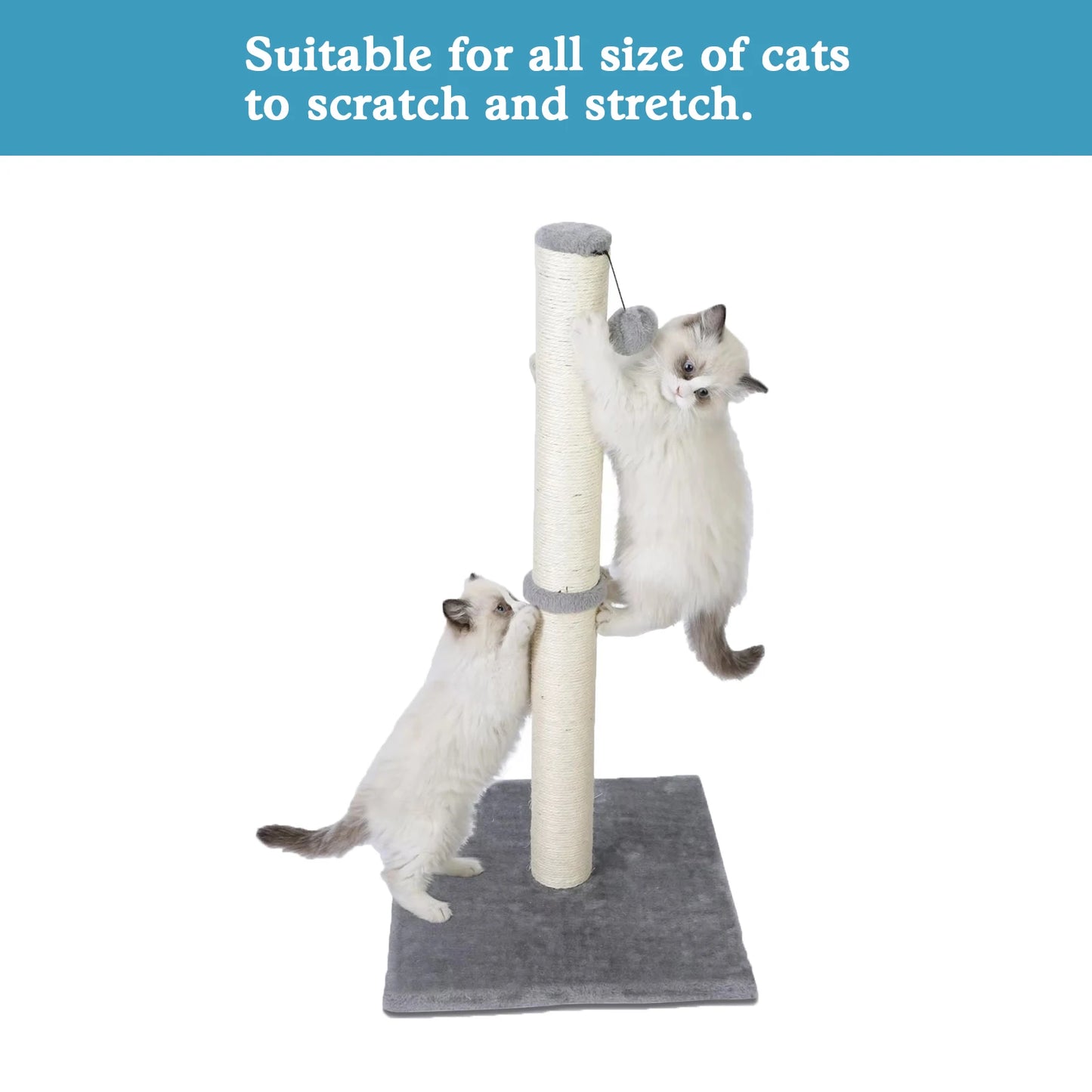 Tall Cat Scratching Posts for Indoor Cats and Kittens Vertical Scratcher with Premium Sisal and Dangling Ball