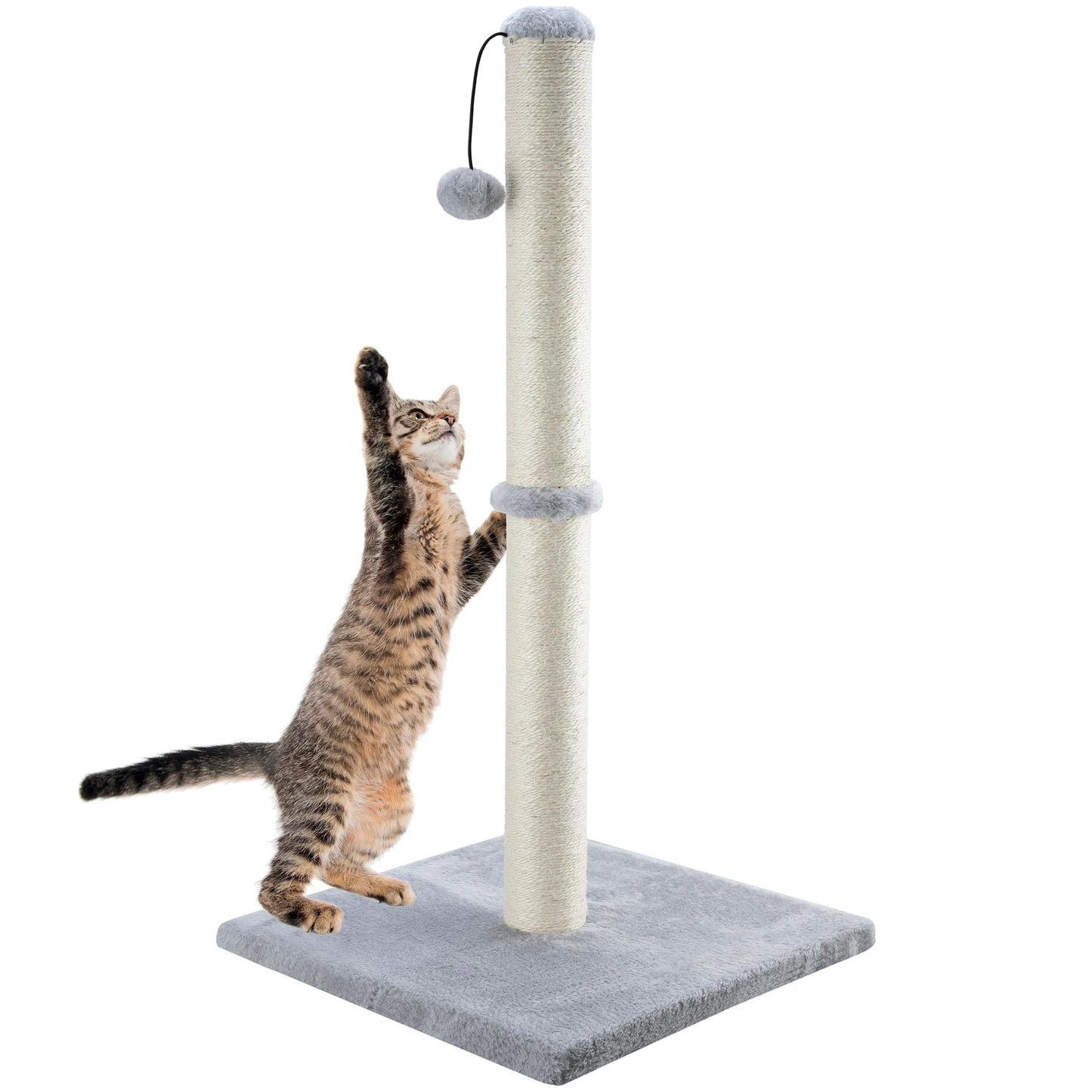 Tall Cat Scratching Posts for Indoor Cats and Kittens Vertical Scratcher with Premium Sisal and Dangling Ball