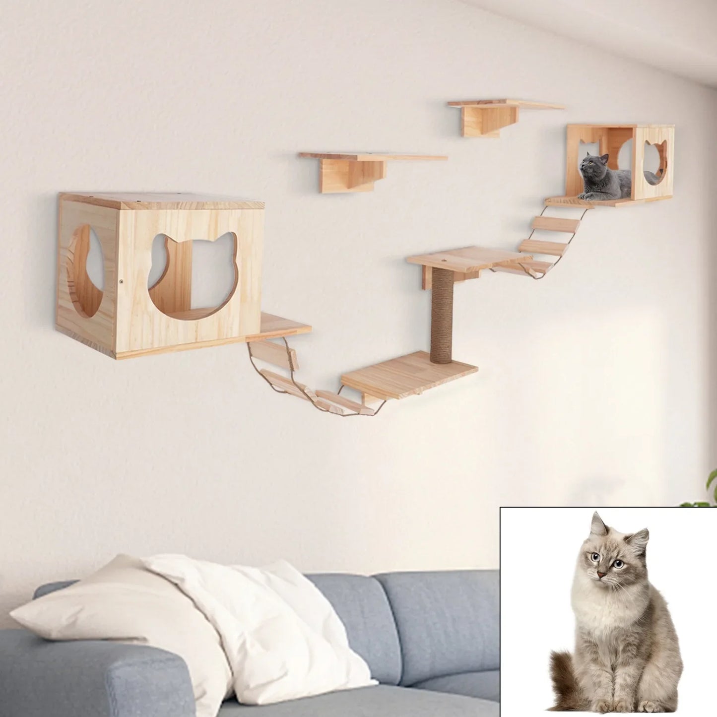 Wall Mounted Cat Tree Furniture Set for Playful Kitties and Pet Owners