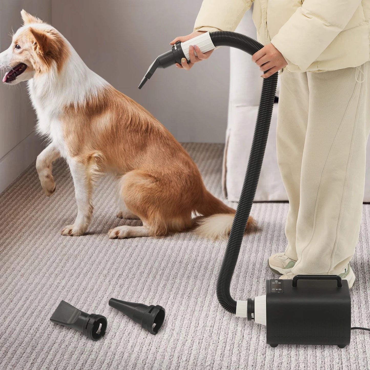 2100 Watt Dog Grooming Blow Dryer With Handles 9 Speed Adjustment LED Display 3 Nozzles For Dogs