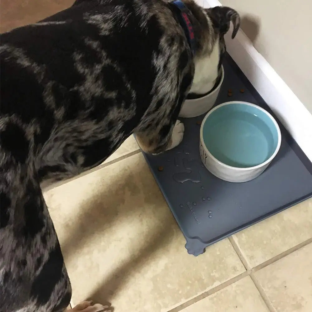 Silicone Pet Placemat for Cats and Dogs Waterproof Anti Spill Feeding Mat with High Lips