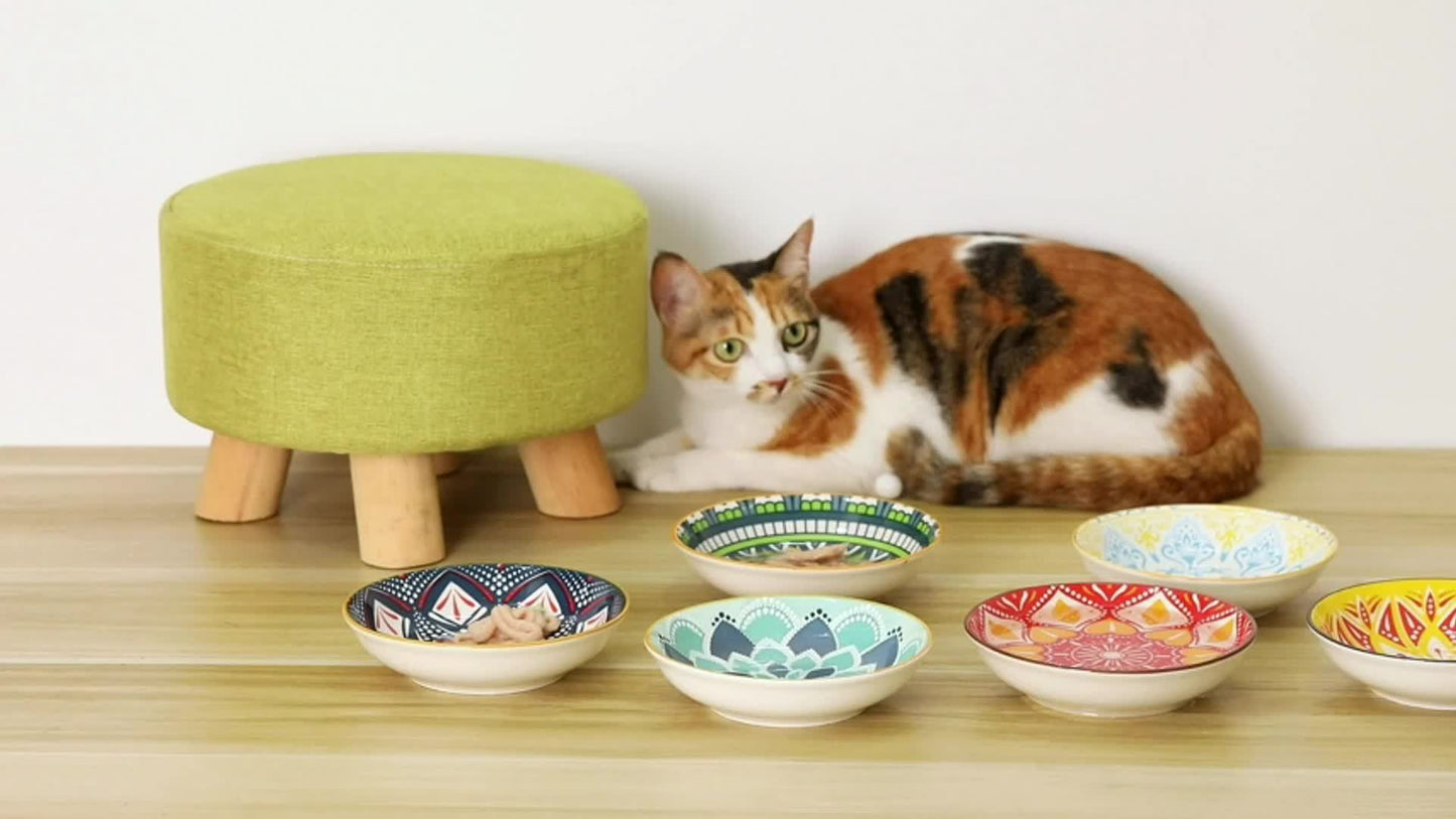 Colorful Ceramic Cat Bowls 6 Piece Set
