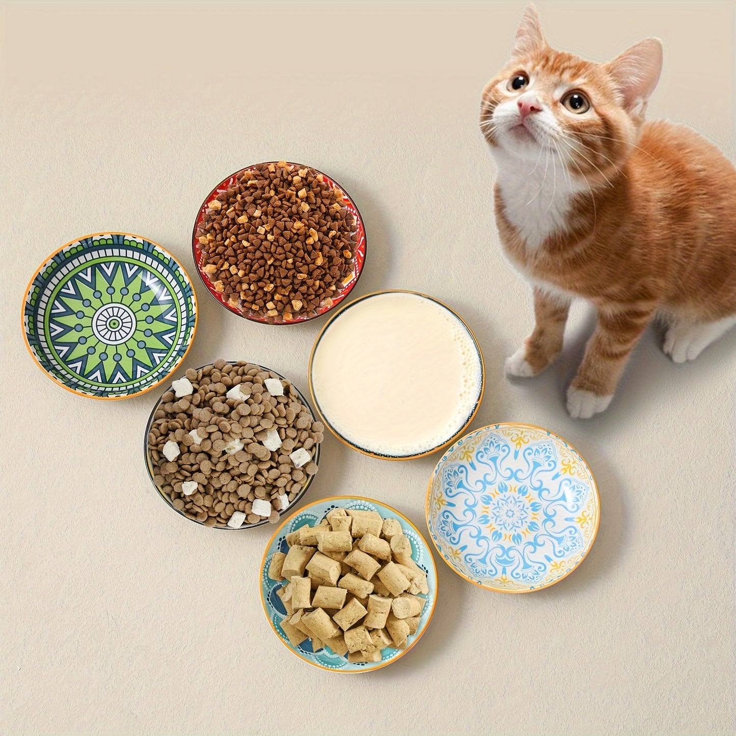 Colorful Ceramic Cat Bowls 6 Piece Set