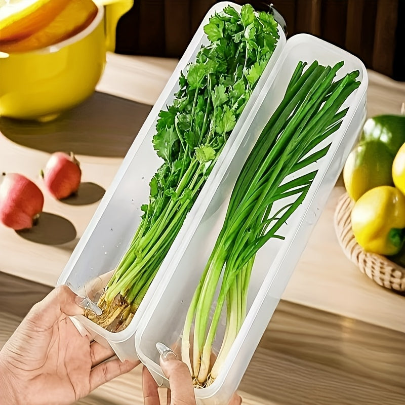 BPA Free Fresh Food Storage Containers Set for Meal Prep and Organization