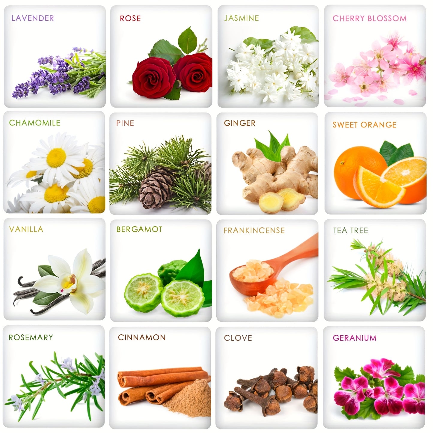 Essential Oils Aromatherapy Kit 12 Pieces 26 Pieces 32 Pieces 48 Pieces Essential Oils Set Aromatherapy Kit for Diffuser Humidifier Candle Making Best Valentines Day Gift